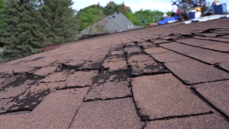Best Gutter Installation and Repair  in Lenoir, NC